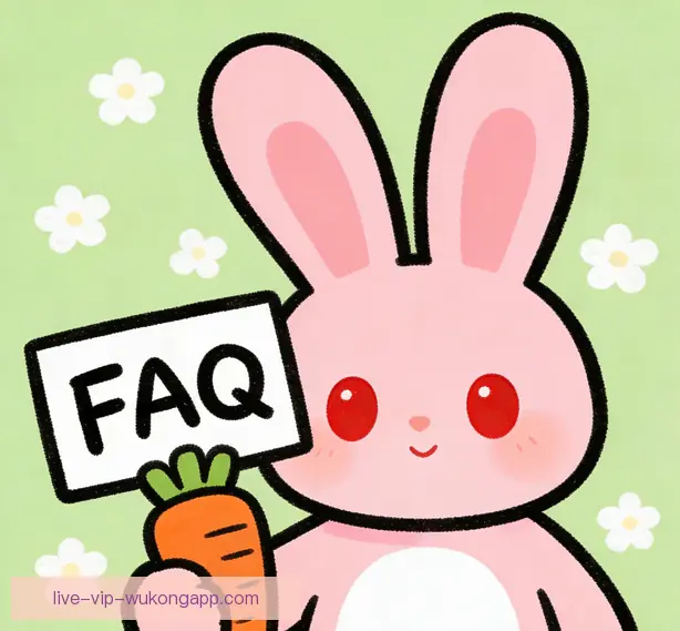 常见问题